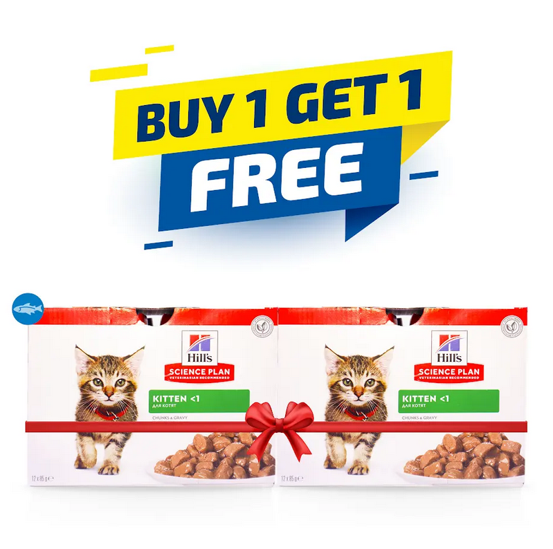 Hill's Science Plan Tender Chunks & Gravy Kitten OF Pouches 85gx12